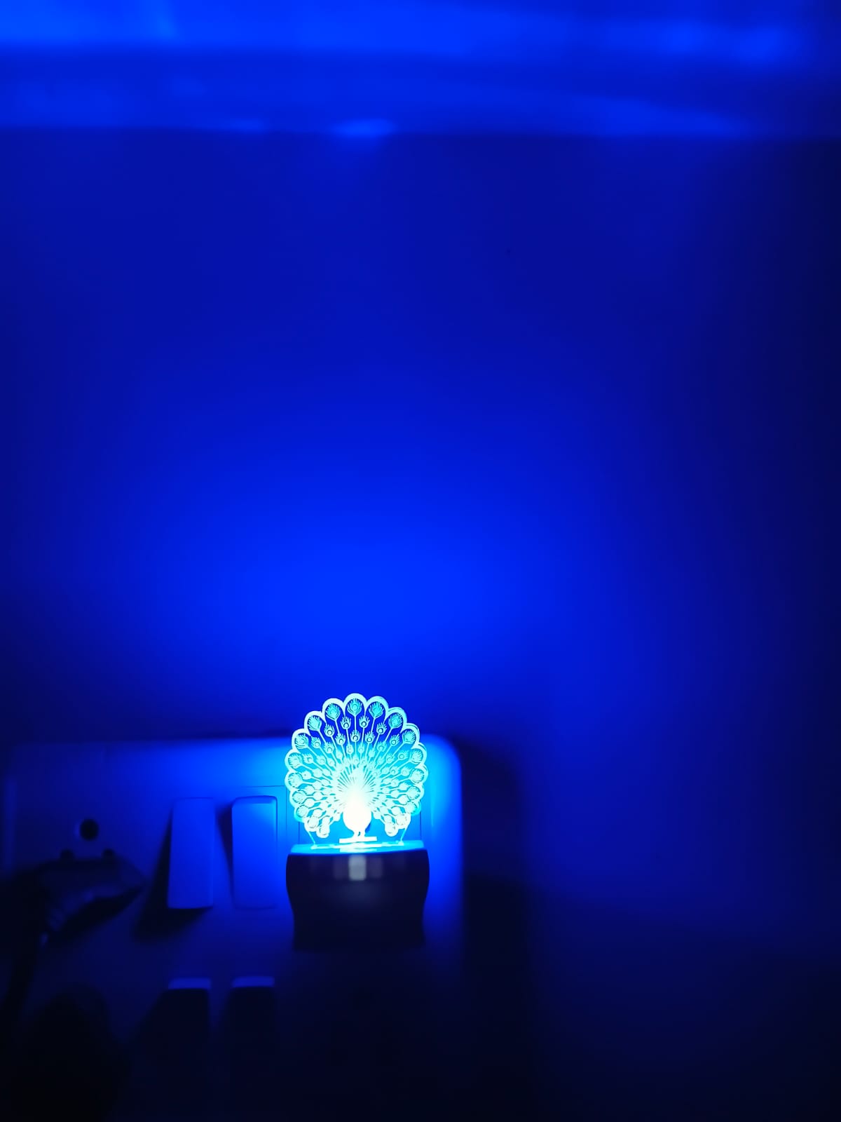 Peacock LED Acrylic Lamp